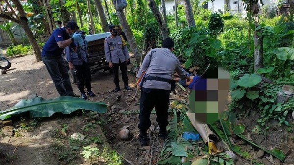 Kakek Di Blitar Tewas Terjatuh Dari Pohon Kelapa Setinggi 15 Meter Saat Petik Pohon Kelapa