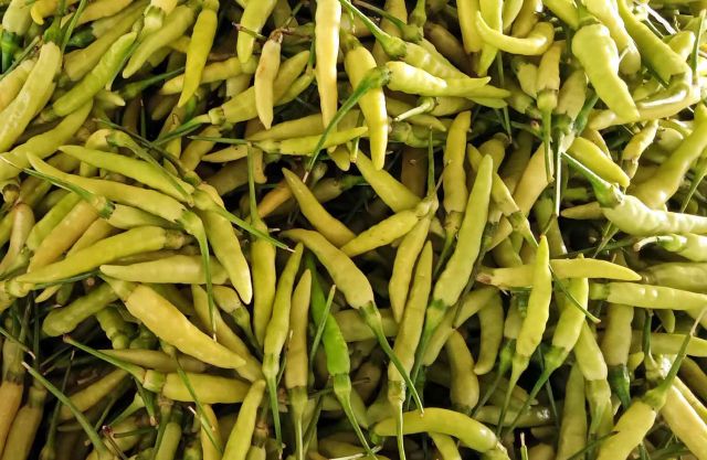 Stok cabai Berkurang, Harga Cabai Hijau di PIOS Merangkak Naik