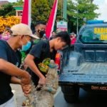 Buaya Di Depan Puskesmas Hebohkan Warga Tuban Akhirnya Dievakuasi ke Bojonegoro