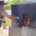 BKP Kelas II Ternate Musnahkan Puluhan Unggas