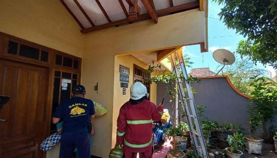 Tawon Ndas,, berita probolinggo, petugas damkar