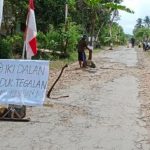 Jalan Rusak Parah Warga Blitar Tanam Pohon Pisang di Jalan