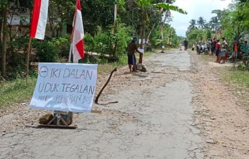 Jalan Rusak Parah Warga Blitar Tanam Pohon Pisang di Jalan