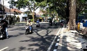 Pamer kelamin