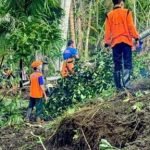 Longsor di Bondowoso