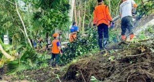 Longsor di Bondowoso Sempat Putus Akses Dua Desa