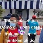 Viral Sopir Truk Sapi Ngeluruk Pos Polisi