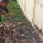 MI di Banyuwangi Jadi Sarang Ular King Kobra