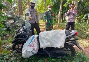 Mayat Wanita Dalam Karung Diduga Dibunuh Pria Yang Gantung Diri Di Pohon Sengon