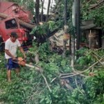 Truk Tabrak Pohon di Mojokerto