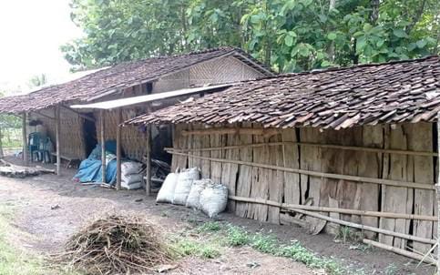 kandang kambing, guru ngawi, guru tinggal di kandang kambing