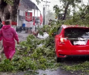 Hujan Es Disertai Angin Kencang Buat Sejumlah Pohon Besar Tumbang Menimpa Honda Jazz