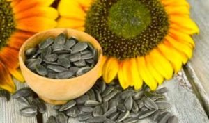 Kuaci Ternyata Bisa Bikin Glowing, Berikut Caranya 