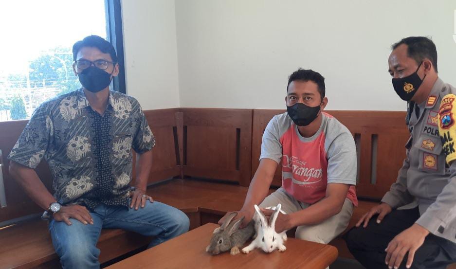 Kasus Investasi Bodong, Tuban