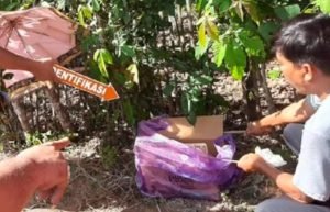 Penemuan Bayi Dalam Kardus, Sempat Dikira Suara Kucing