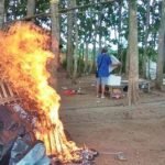 sabung ayam, ayam aduan, banyuwangi, arena sabung ayam dibakar