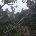 angin kencang, gondang, tiang listrik