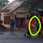 Foto Pohon Tumbang, Mojokerto, Viral Di Media Sosial, ghaib
