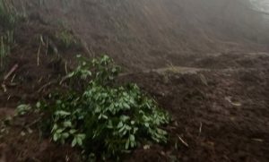Tanah Longsor Tutup Jalan Alternatif Malang – Pasuruan