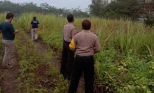 Akibat Korsleting Listrik, Sebuah Gudang Gula di Kediri Terbakar