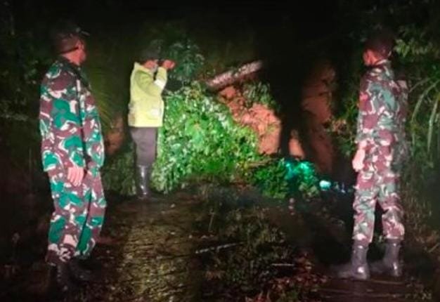 Dua Tebing Di Trenggalek Longsor