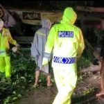 Hujan Deras Disertai Angin Kencang, Pohon tumbang, jalan Jalan Raya Ngawi - Solo