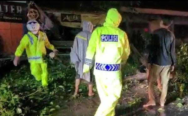 Hujan Deras Disertai Angin Kencang, Pohon tumbang, jalan Jalan Raya Ngawi - Solo