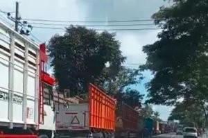 KSLI Gelar Demo Tolak ODOL Sempat Macetkan Jalan 