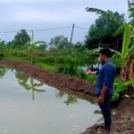 Latihan Renang, Dua Bocah Tewas, bocah Tenggelam di Tambak