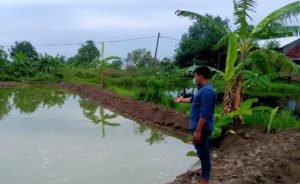 Pamit Latihan Renang, Dua Bocah di Lamongan Tewas Tenggelam di Tambak