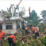 Pohon Tumbang , Ponpes Sampang,