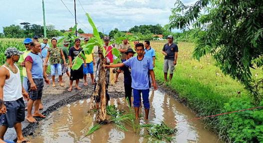 jalan rusak, kolam pancing, menanam pisang, probolinggo