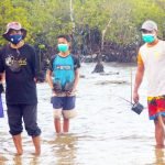 Kelompok Binaan HARITA Nickel dan Unkhair Tanam 6.900 Bibit Mangrove, Ini Harapan Stevi Thomas