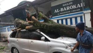 Hujan Es Disertai Angin Kencang Buat Mobil Toyota Avanza Ringsek