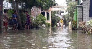 Pemukiman Warga Bojonegoro Terendam Banjir