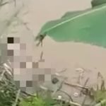Penemuan Mayat Wanita Telanjang Hanya Kenakan BH di Sungai Brantas Bikin Geger 