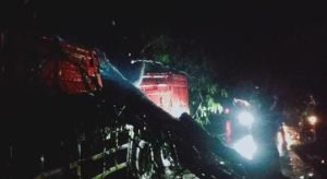 Pohon Tumbang Akibat Angin Kencang Di Jombang Rusak Mobil