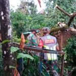 Rumah Warga Lereng Gunung Raung Rusak Diterpa Hujan Deras dan Angin Kencang
