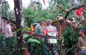Rumah Warga Lereng Gunung Raung Rusak Diterpa Hujan Deras dan Angin Kencang