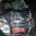 Tabrak Motor, Mobil Dinas Disperindag Pemkab Probolinggo Ringsek