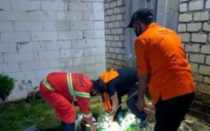 Bikin Resah, Ular Piton Sepanjang 3,5 M Diamankan