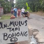 Jadi Jalan Seribu lubang Dan Makan Korban, Warga Blimbing Tanam Pisang Di Jalan