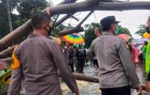 Anggota TNI Asal Bondowoso Tewas Tertimpa Pohon Tumbang Di Situbondo