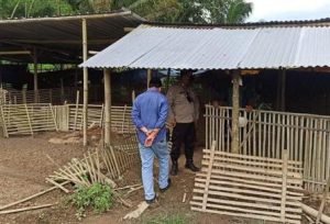 Pencurian Hewan Ternak di Blitar Kini Marak