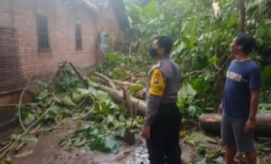 7 Rumah Di Ponorogo Rusak Tertimpa Pohon Tumbang dan Antena Radio