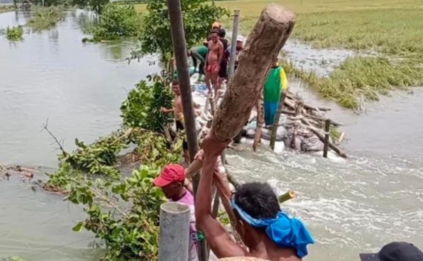 Tanggu Jebol, Ancam, Sawah,