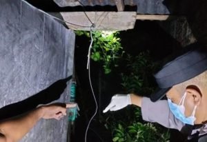 ODGJ Di Blitar Ditemukan Tewas Gantung Diri