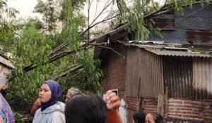 Angin Kencang Di Probolinggo Buat Dua Desa Porak Poranda