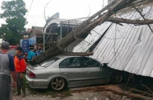 Pohon Tumbang Timpa Bengkel Motor Dan Mobil Di Tulunggung