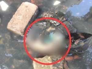 Bungkusan Kresek Berisi Mayat Bayi Gemparkan Warga Surabaya